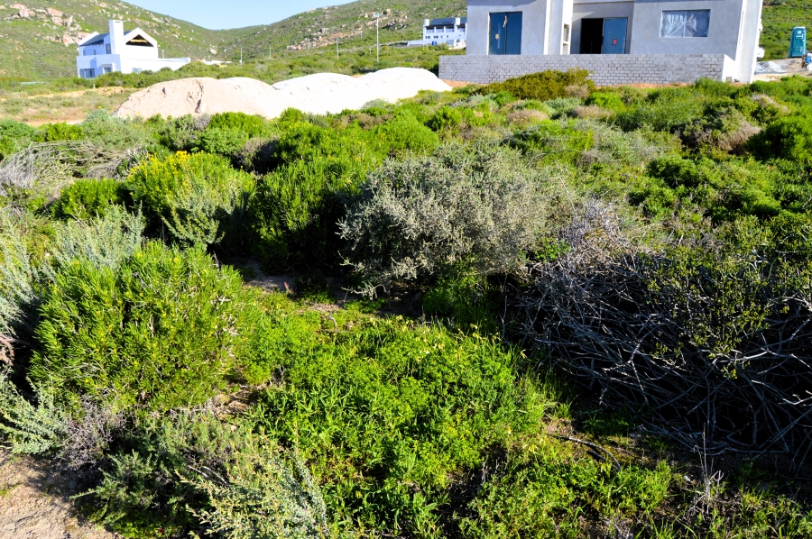 0 Bedroom Property for Sale in Steenbergs Cove Western Cape